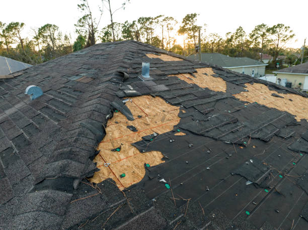 Best Sheet Metal Roofing  in Fifth Street, TX